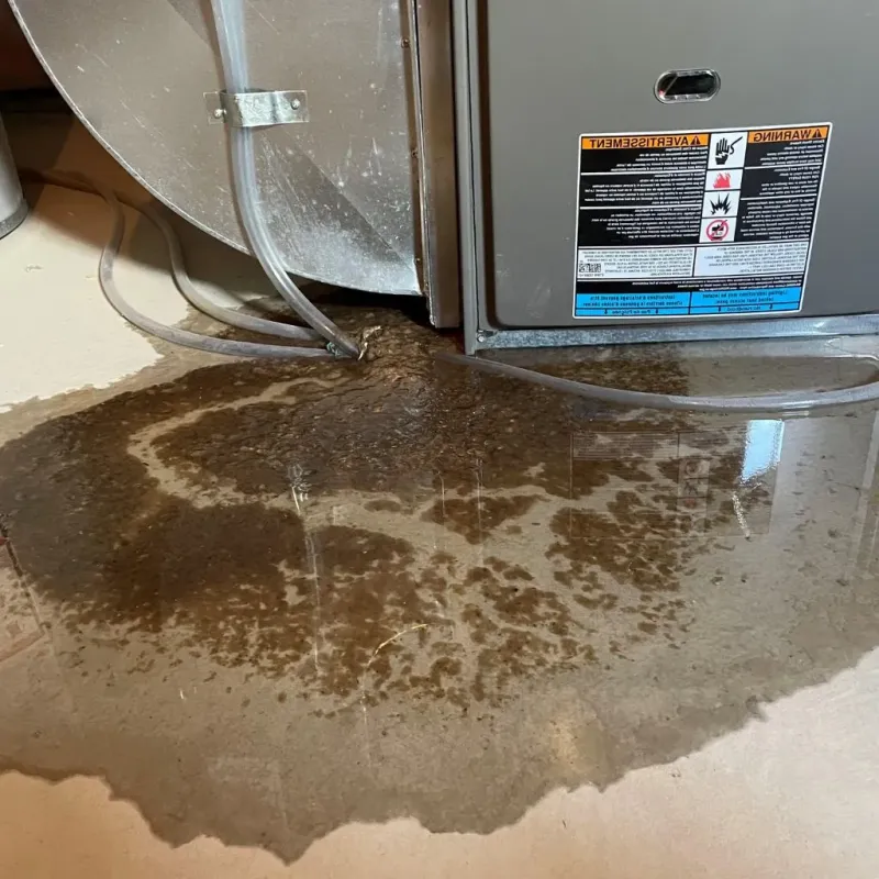 Pipe Burst and Leak Restoration in Parkville, MD